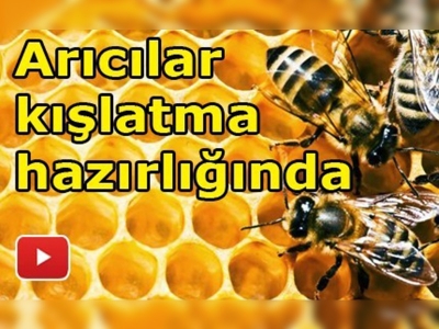 Üreticiler arıları soğuktan korumaya çalışıyor