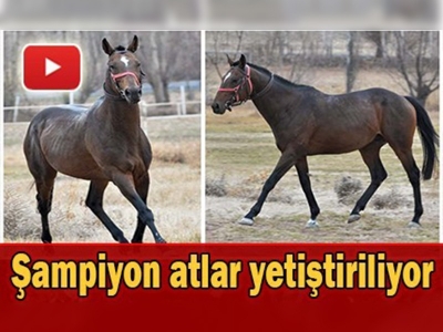 Pınarbaşı Panlı'da bir şampiyon