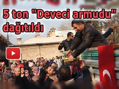 3. Gürsu Deveci Armudu Şenliği