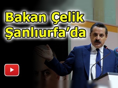 Çelik Şanlıurfa'da önemli açıklamalarda bulundu