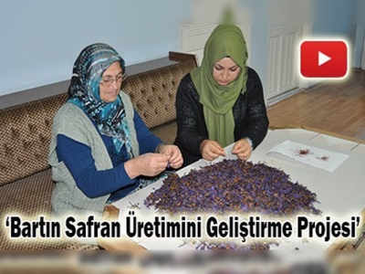 Mucize bitki ''safran''