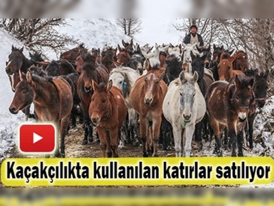 İhaleyle satılacaklar