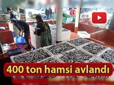 Karadeniz'den hamsi fışkırıyor