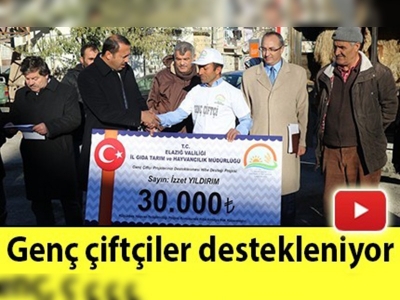 12 üreticiye 480 adet koyun