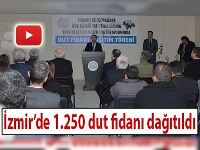 İpek böceği yetiştiricilerine 1.250 dut fidanı dağıtıldı