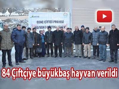 Artvin'de büyükbaş hayvan dağıtıldı