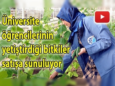 Kampüste bitki satışına talep yoğun