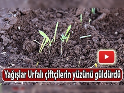 Güneydoğu'da şiddetli  yağışlar etkili