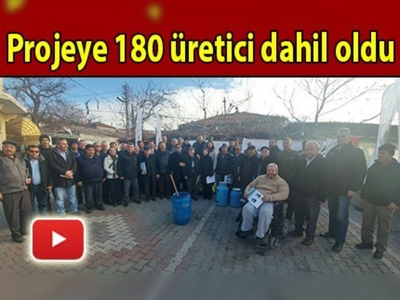 Ayvacık İlçesinde ''Zeytinliklerin Islahı Projesi'' 