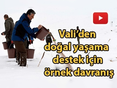 Ardahan Valisi yaban hayvanları için yem bıraktı