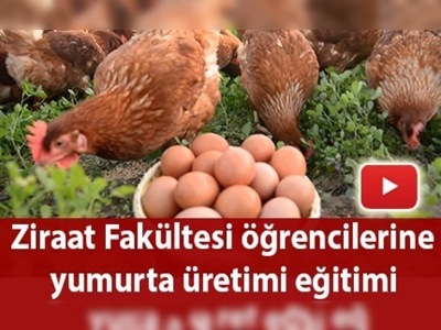 Yumurta üretimine uygulamalı eğitim