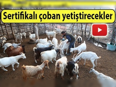 Çoban sorununa sınır ötesi çözüm arayışı