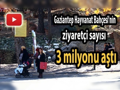 ''Şimdi Gaziantep'e Gitme Zamanı''