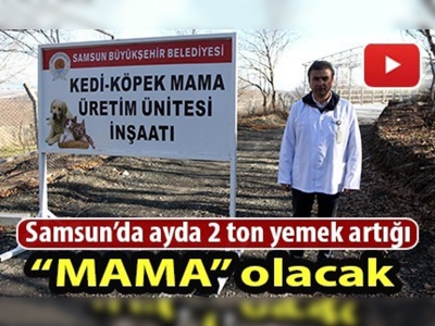 Yemek artıkları sokak hayvanlarına ''mama'' olacak