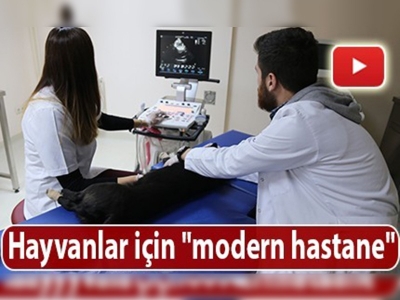 Hayvanlar için ''modern hastane''