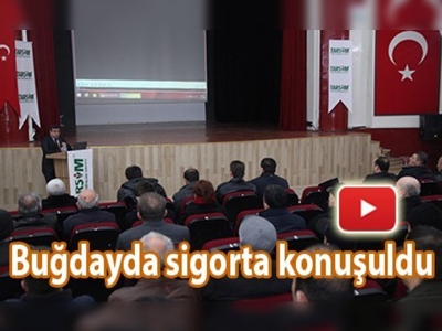 Buğdayda sigorta konuşuldu