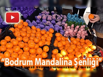 ''Bodrum Mandalina Şenliği''