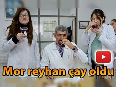 Mor reyhan çay oldu