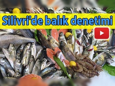 Silivri'de balık denetimi