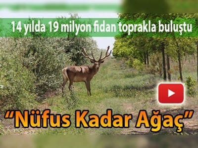 Konya ''Nüfusu Kadar Ağaç''la yeşerecek