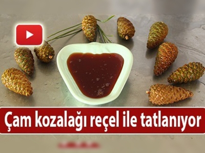 Öksürük ve bronşit hastalıklarına iyi geliyor