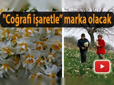 ''Karaburun Nergisi'' kokusuyla farklı