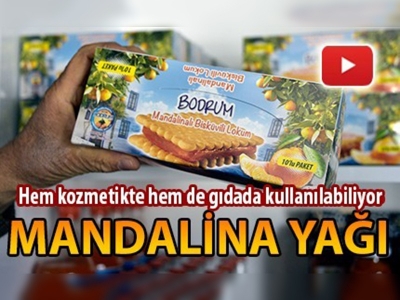 Bodrum mandalinasının yağını çıkarttılar 