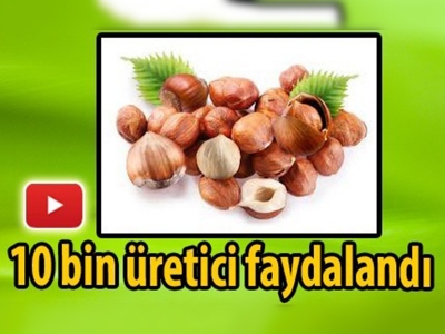 Fındık üreticilerine ek ödeme