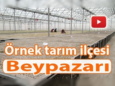 Örnek tarım ilçesi Beypazarı