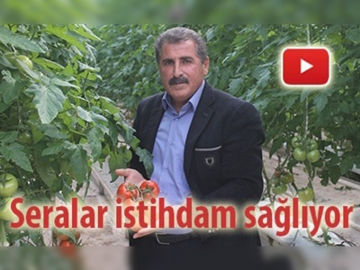 Seralar ekmek kapısı oldu