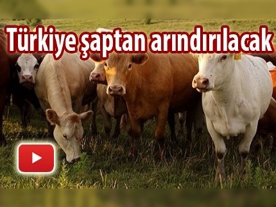 Tüm Türkiye şaptan ari olacak