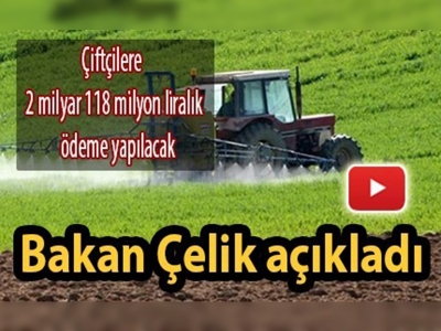 Bakan Çelik açıkladı