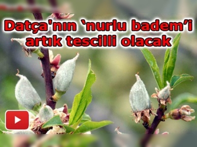 Coğrafi İşaret Tescili İçin Çalışma Başladı