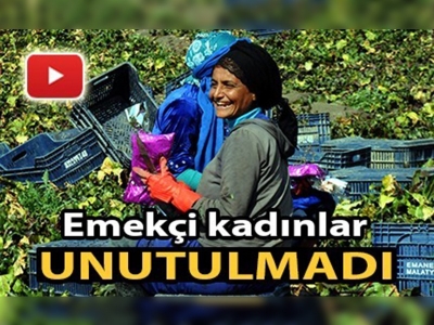 Turp tarlasında çalışan kadınlara karanfil