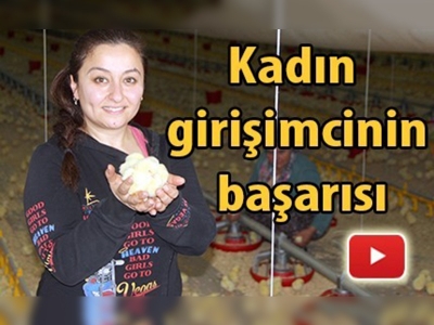 Piliç tesisinde sadece kadınlar çalışıyor