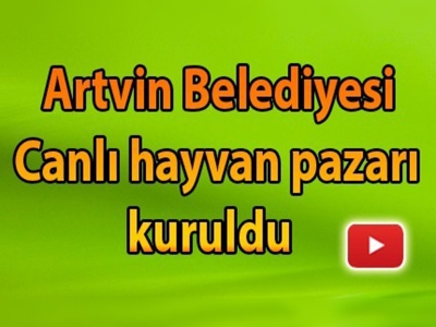 Artvin'de canlı hayvan pazarı kuruldu