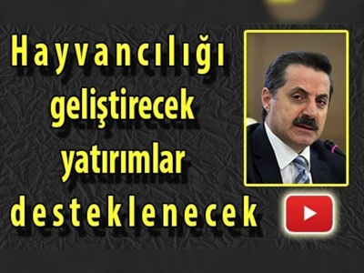 Hayvancılık yatırımlarına hibe desteği