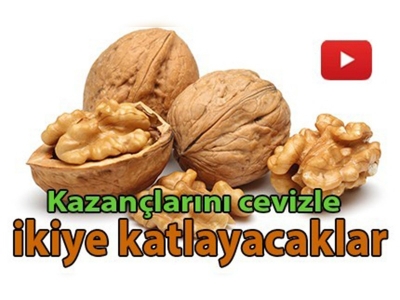 Fındık üreticisi cevizle kazancını ikiye katlayacak 