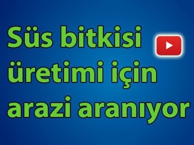 5 bin hektar alanda süs bitkisi üretimi 