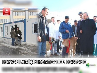 Hayvanlar için konteyner hastane