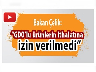 GDO denetimleri sürüyor