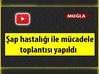 Muğla'da şap hastalığıyla mücadele