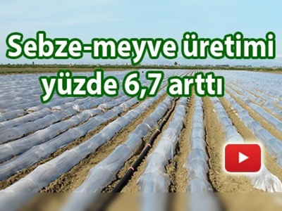 Örtü altı tarım üretimi artıyor