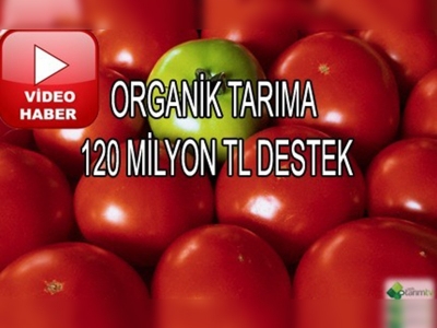 Organik tarım destekleme müracaatları başladı