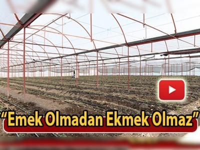 10 dekarda başladı 300 dekara ulaştı