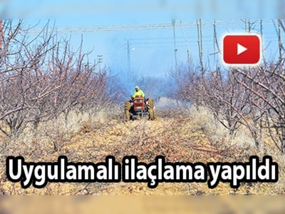 Elmada kara leke hastalığı ile mücadele