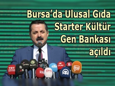 Mayalar yerli kültürden üretilecek