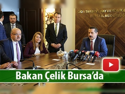 Bakan Çelik Bursa'da