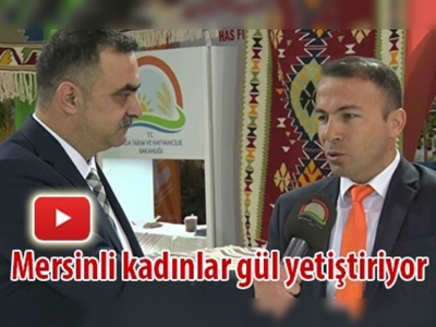 Mersinli kadınlar gül yetiştiriyor