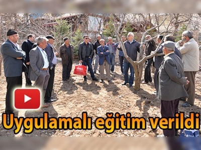 ''Meyve Ağaçlarında Budama Eğitimi'' 